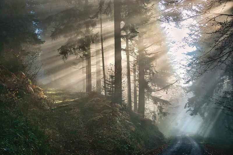 Mystical chronicles